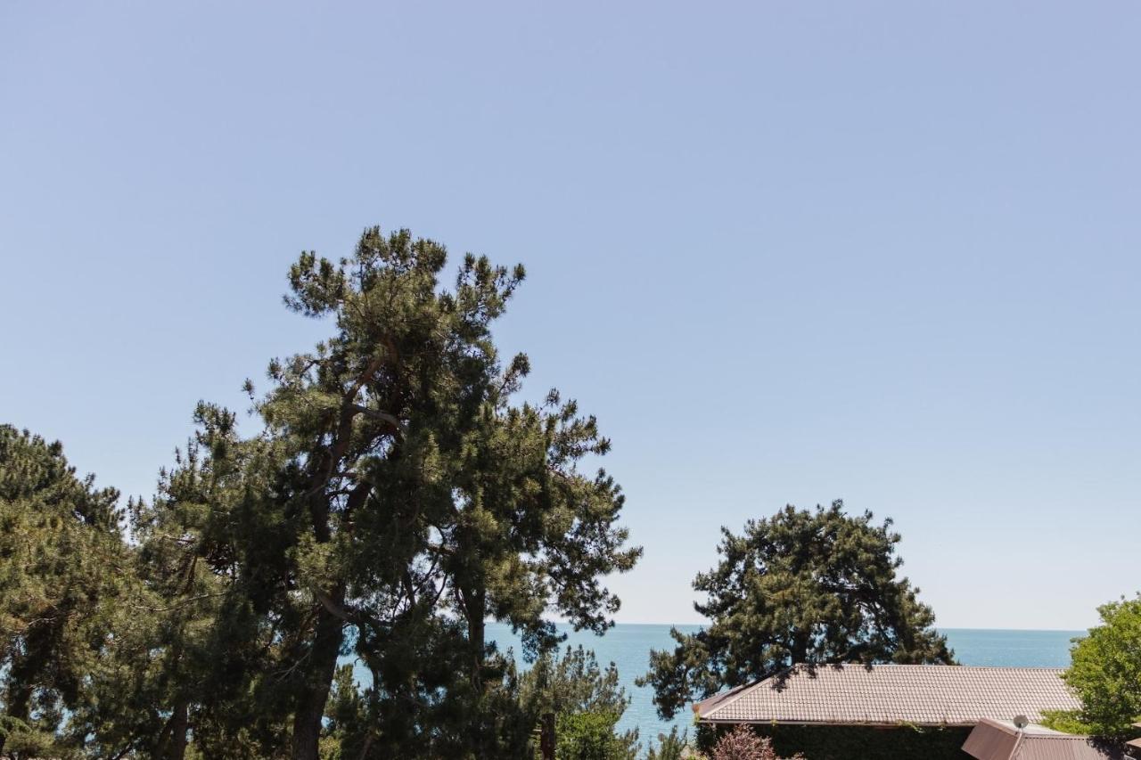 Lidzava Hotel Talion, Pitsunda المظهر الخارجي الصورة