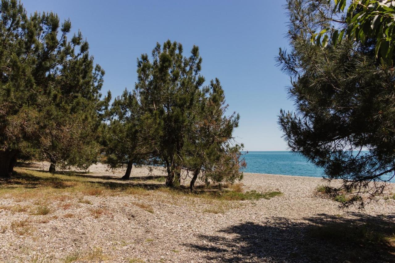 Lidzava Hotel Talion, Pitsunda المظهر الخارجي الصورة